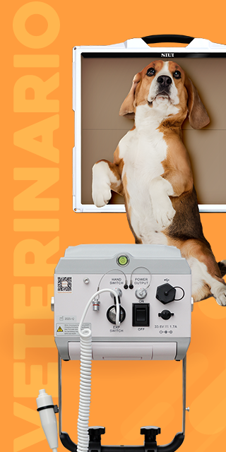 categoria-veterinario